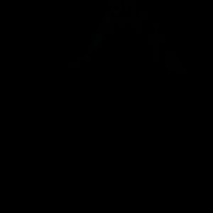 Meet your Posher, Roy